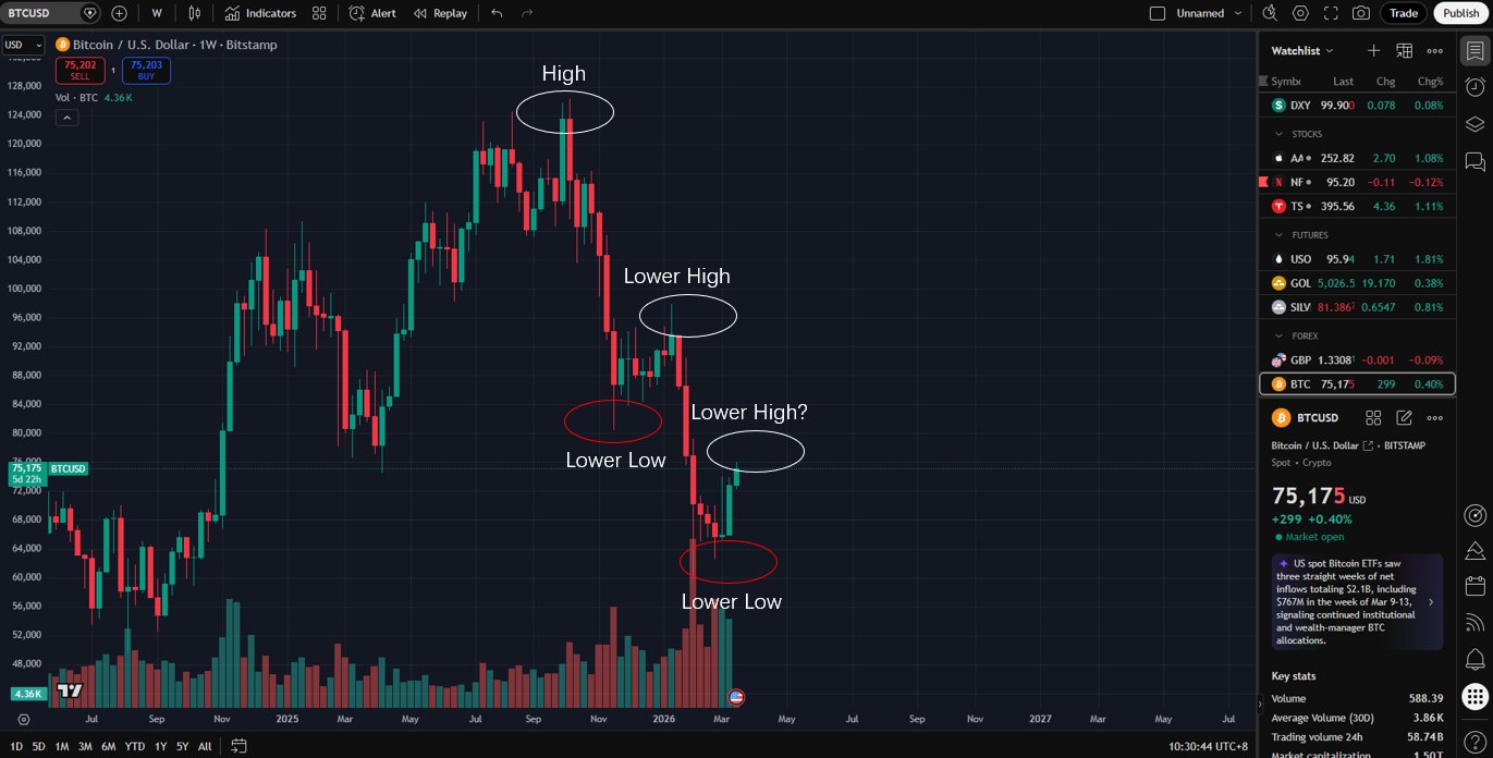 麦总实盘截图 #2033734220678631537